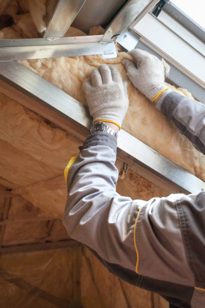 Best Crawl Space Insulation  in Deerfield, WI