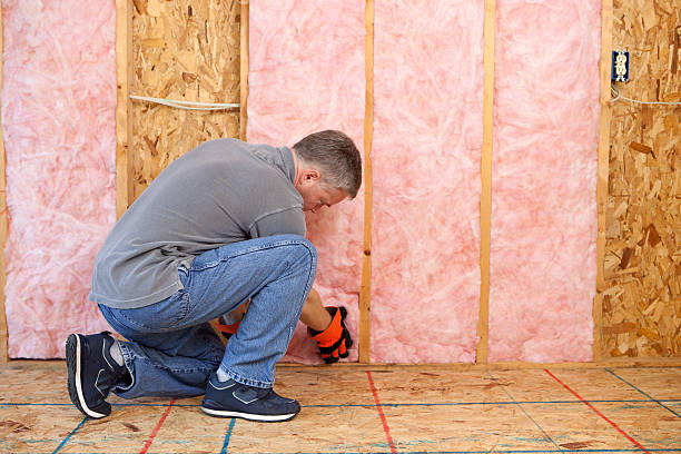 Insulation Replacement Services in Deerfield, WI